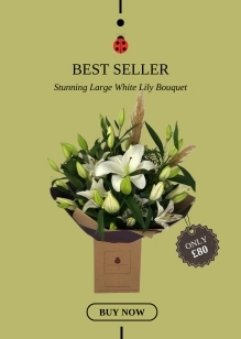 Best Seller Liverpool Stunning White Lily Vase